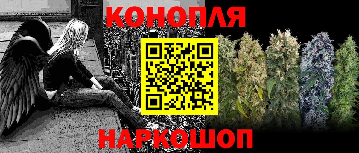 Бошки марихуана OG Kush Канаш